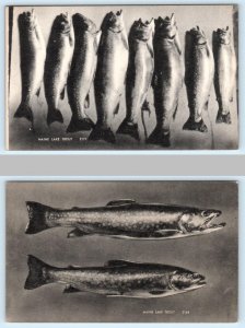 2 Postcards MAINE LAKE TROUT Fishing FISH CAUGHT ca 1940s