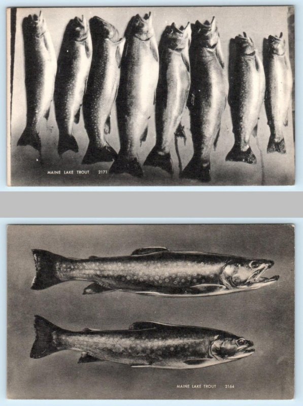 Real Photo Post Card-Speckle Trout Fish Stringer Pellston Studio, MI~HF40