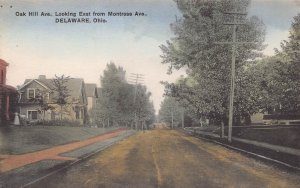 Oak Hill Avenue Delaware Ohio 1910c postcard