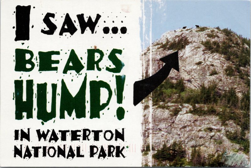 'I Saw Bears Hump' Waterton National Park AB Alberta Postcard F45