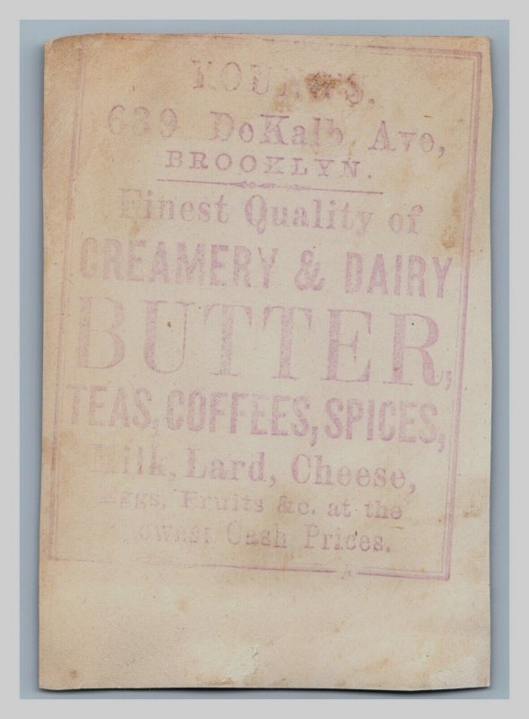 1880s Young's Teas Coffees Spices Creamery Dairy Birds & Eggs Lot Of 2 F9