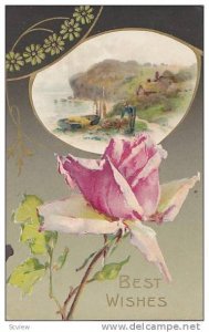 Best Wishes, Pink rose, Man's home overlooking water, PU-1910