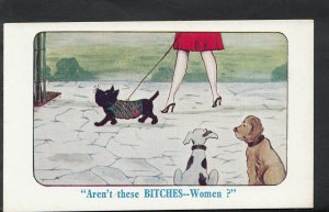 Comic Postcard - Dogs / Rude - Aren't These Bitches -- Women? A6683