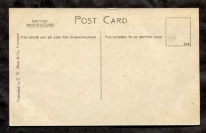 dc742 - Steamer RMS MINNEDOSA 1910s Postcard