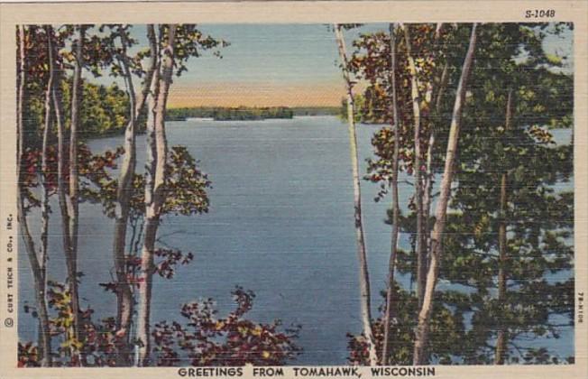 Wisconsin Greetings From Tomahawk 1950 Curteich