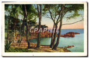 Old Postcard La Cote D & # 39Azur La Corniche D & # 39Or The red rocks and pi...