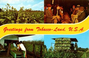 Greetings From Tobacco Land U S A Split View