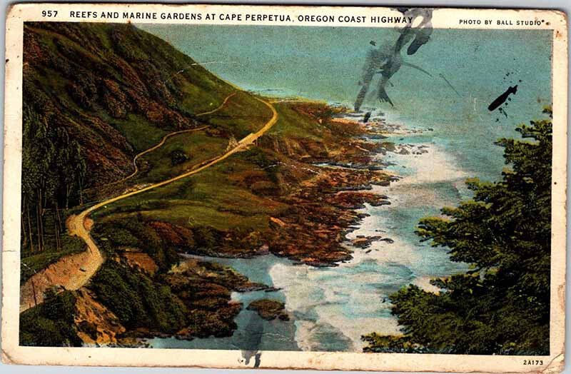 Postcard HIGHWAY SCENE Cape Perpetua Oregon OR AM1327