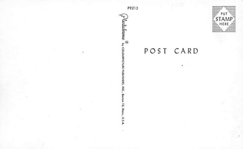 Rabbit Comic Rabbits Unused 