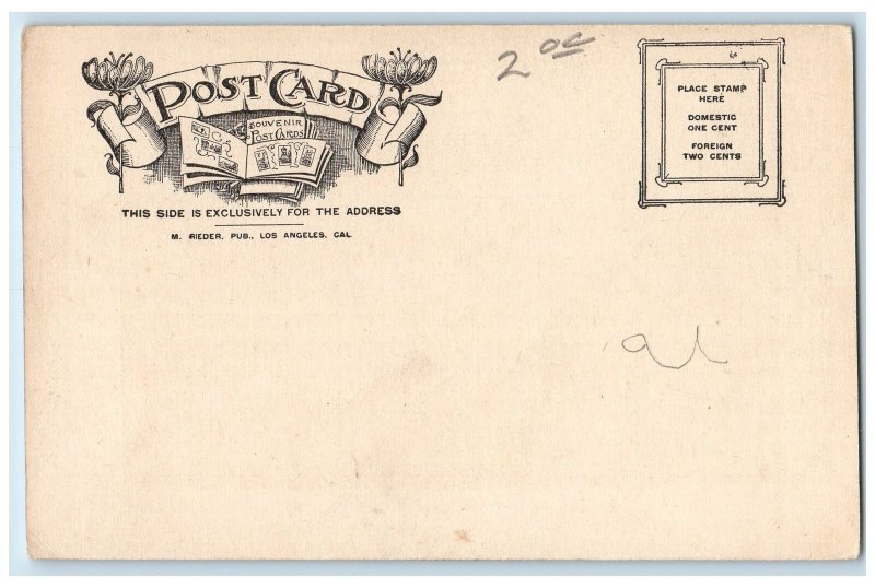 c1905 Scene Bathing Watching Crowd Orchestra Long Beach California CA Postcard 