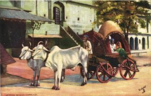 PC CPA INDIA, JEYPORE ZENANA CARRIAGE, Vintage Postcard (b21880)