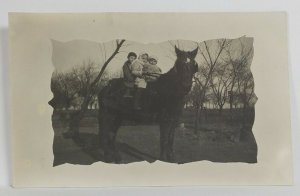 Children Posing on Horse Rppc c1910 Lovely Border Postcard R7