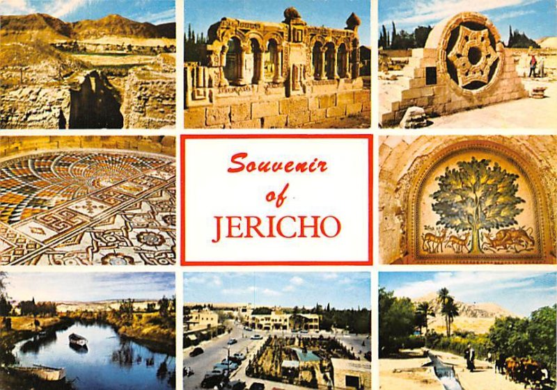 City of Palms in the Jordan Valley Jericho Israel Unused 