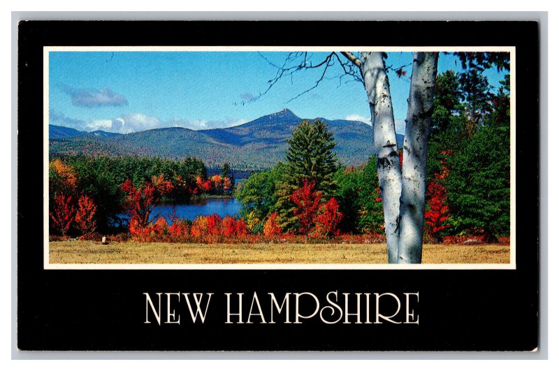 Mt. Chocorua Albany New Hampshire Postcard