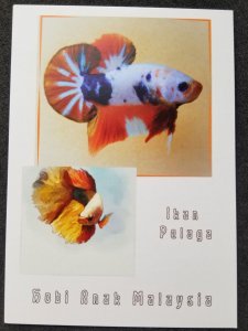 [AG] P115 Malaysia Fighting Fish Pet Children Hobby Betta (postcard) *New