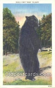 Bear, Black and Brown Bear Unused 