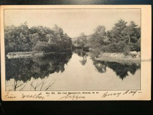 Vintage Postcard 1905 Asheulot Keene New Hampshire