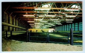 PRIOR LAKE, Minnesota MN ~ Arena MEADOWHILL FARM & STABLES c1960s  Postcard