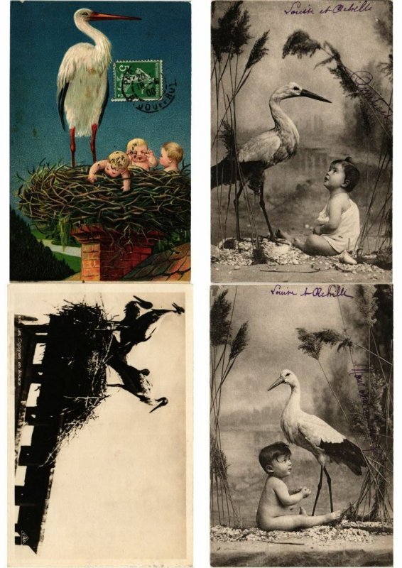 STORKS CIGOGNES Birds 500 Vintage Postcards Mostly pre-1940 (L2840)