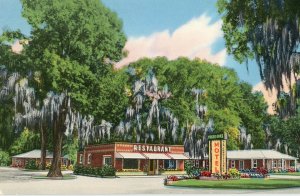 Postcard View of Mossy Oaks Restaurant in Eulonia, GA.    L1