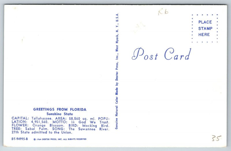Florida State Map~Lakeland~Sarasota~Gainesville~Homestead~Naples~Vtg Postcard