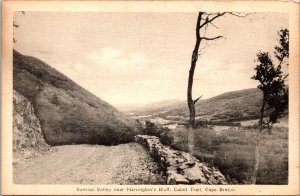 Sunrise Valley Harrington Bluff Cabot Trail Cape Breton WB Postcard UNP VTG 