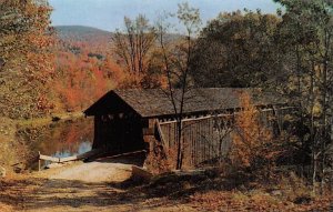 Catskill Mountain Vacationlands Livingston Manor, New York NY  