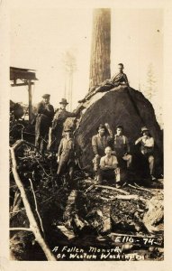 LPS05 Logging Western Washington RP Postcard Loggers, Lumberjacks