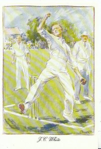 Sport Postcard  - Cricket - John Cornish White - [Somerset & England] -Ref G873