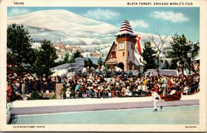 Vtg 1930 Black Forest Ice Skating Rink Chicago Worlds Fair Illinois IL Postcard