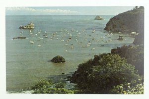 Fishing Fleet in Trinidad Bay, Calif. Vintage Postcard P69