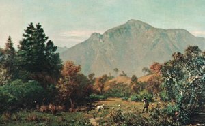 Vintage Postcard Mt. Saint Helena Knights Valley Thomas Hill Oil Painting Art