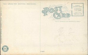 Wrangell Alaska AK Bird's Eye View Harbor c1910 Vintage Postcard