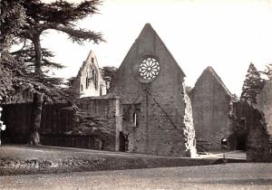 Dryburgh Abbey - real photo