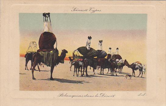 Africa Scenes Types Palanquinsdans le Desert Camel Caravan