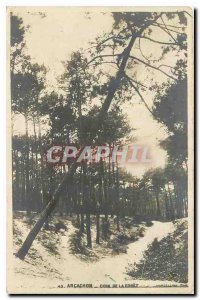Old postcard Arcachon corner of the forest