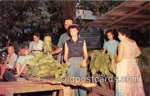 Tobacco, Farming Stringing Tobacco Dixie Unused 