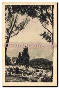 Postcard Old Algiers cemetery unworthy of El Kettar