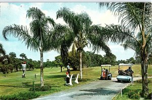 Chrome GOLF COURSE Sarasota Florida FL AH7306