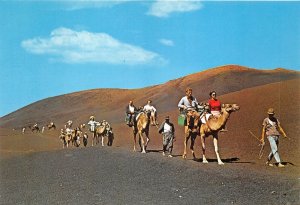 Lot 42 lanzarote camels caravan types folklore spain  canary island