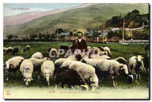 Postcard Old Patre mountain and herd sheep Pyrenees