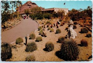 Postcard - Colorful Barrel Cacti of the Southwest, Desert Botanical Gardens - AZ