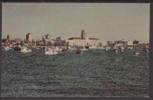 California San Diego Fine Natural Harbor with Fishing Boats Freighters ~ Chrome