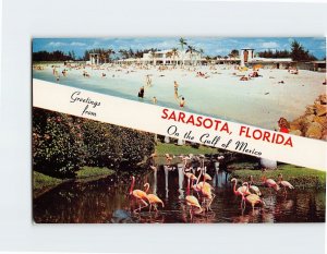 Postcard On the Gulf of Mexico, Greetings from Sarasota, Mexico