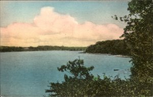 Manasquan NJ Sunnyside Farm Switzer  River Hand Colored Vintage Postcard