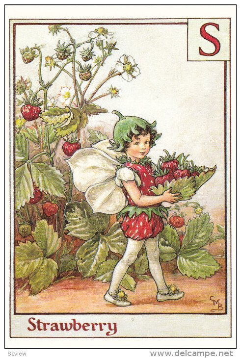 The Strawberry Fairy , 1995