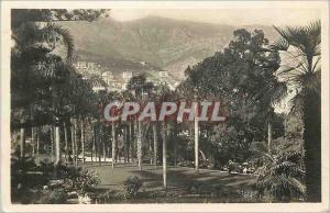 Old Postcard MONTE CARLO The Casino Gardens