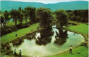 Manchester VT Orvis Fly Casting School Fishing Pond c.1970s Postcard