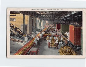 Postcard Unloading Bananas, New Orleans, Louisiana