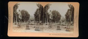 229145 USA Orange Pickers Los Angeles 1895 year STEREO PHOTO